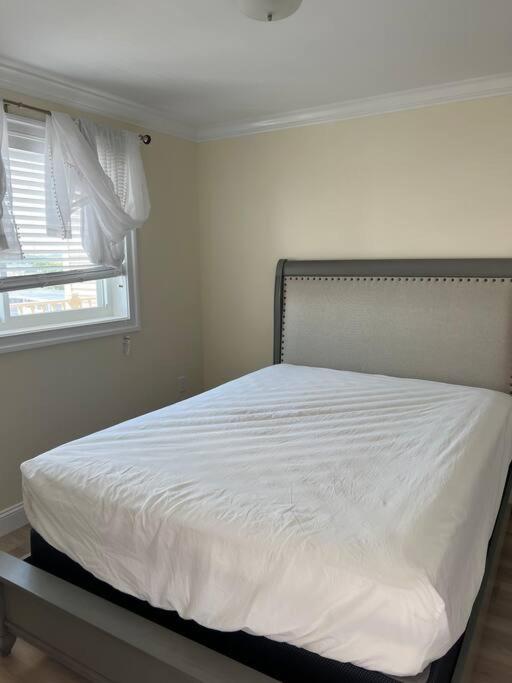 Hampton Beach Ocean Front Condo At The Surf Exterior foto